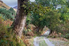 Lochranza walk