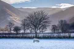 Buttermere