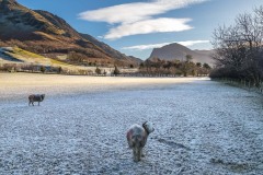 Fleetwith Pike