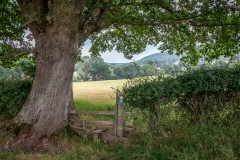 Longtown walk
