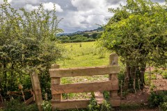 Longtown walk