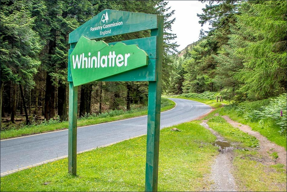 visitor centre Whinlatter Pass