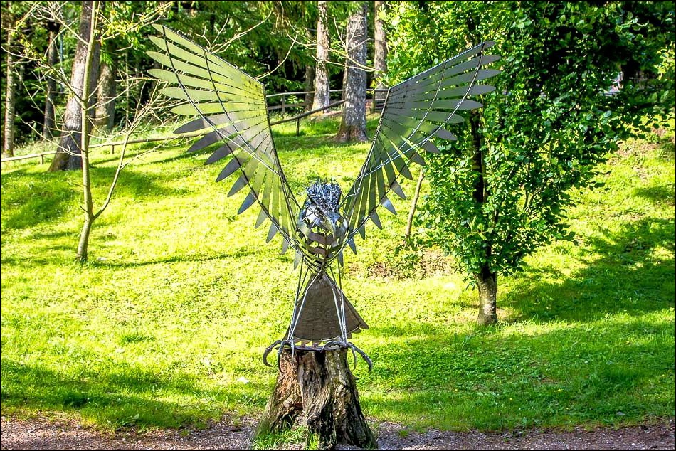 Osprey Sculpture at Whinlatter Visitor Centre