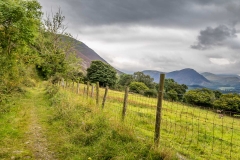 Lorton walk