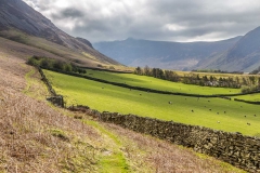 Lorton Vale