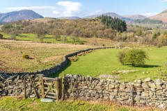 Lanthwaite Hill, Brackenthwaite Hows