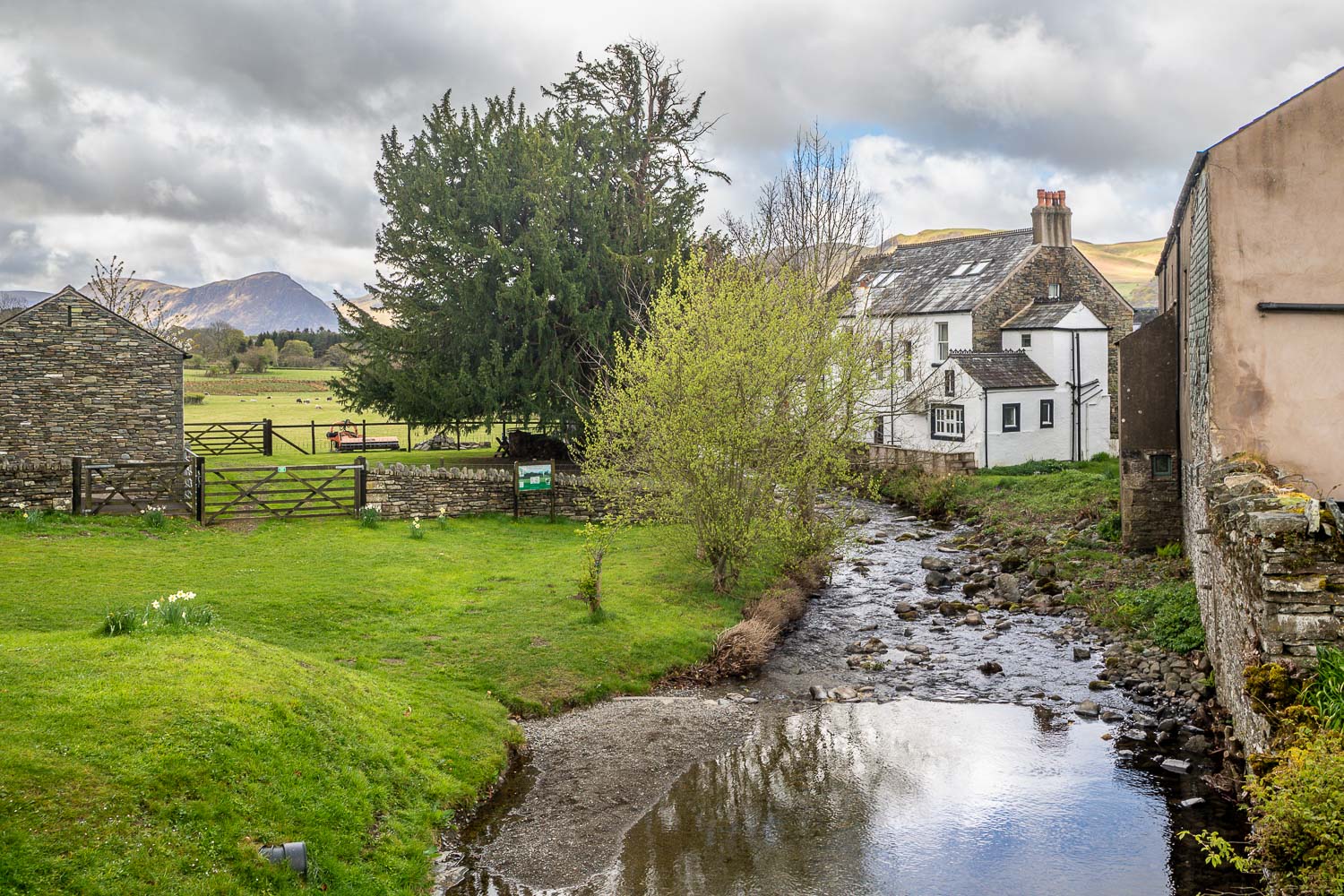 High Lorton, yew tree, Wordsworth High Lorton, yew tree, Wordsworth