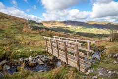 Hope Beck, Bridge