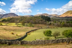 Lorton Vale
