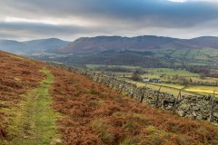 Lorton Vale walk