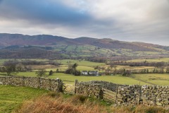 Low fell and Fellbarrow