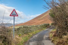 Lorton Vale walk