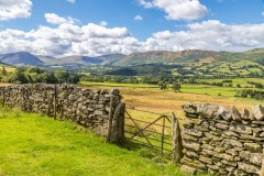 Lorton Vale