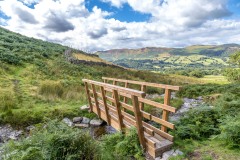Hope Beck, bridge