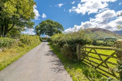 Lorton walk