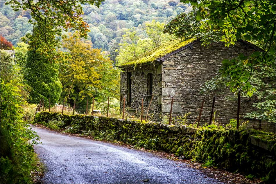 lane between Rydal and Ambleside