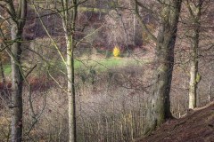 Hubbard's Hills, Louth