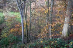 Hubbard's Hills, Louth