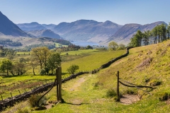 Low Fell walk