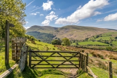 Low Fell walk