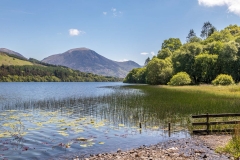 Loweswater and Holme Wood