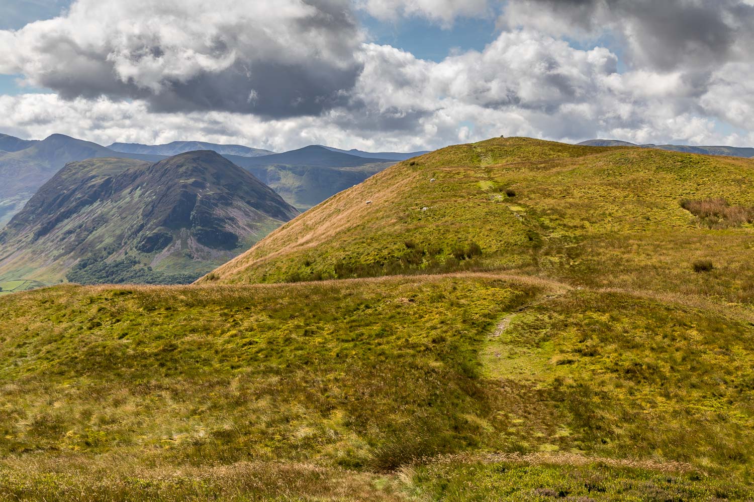 Low Fell walk, Low Fell north top