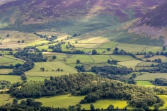 Low Fell walk, Lorton Vale