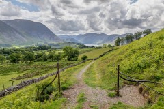 Low Fell walk