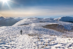 Low Fell