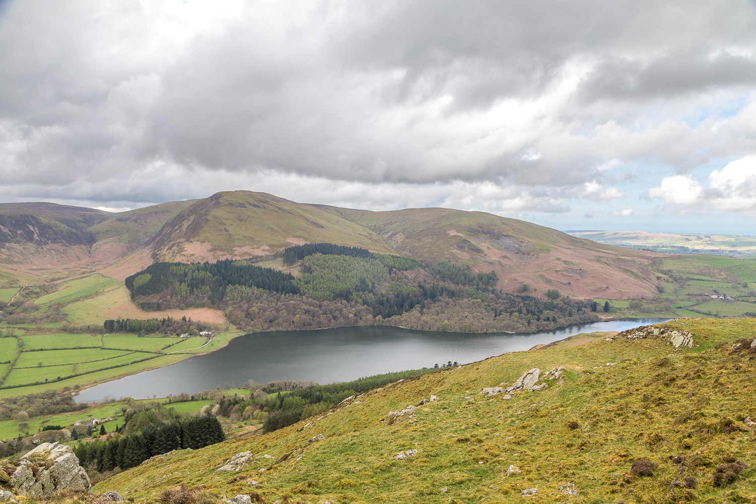 Loweswater from Low Fell