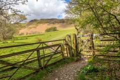 Low Fell walk