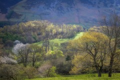 Redhow Crags, Redhow Wood, Lorton Vale