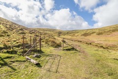 Low Fell walk
