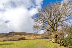 Low Fell ridge