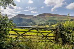 Loweswater walk, Burnbank Fell, Carling Knott