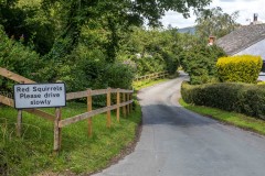 Low Fell walk, Thackthwaite