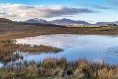 Tewet Tarn