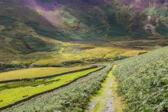 Loweswater walk, High Nook Tarn