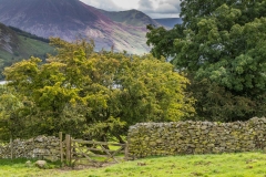 Loweswater walk