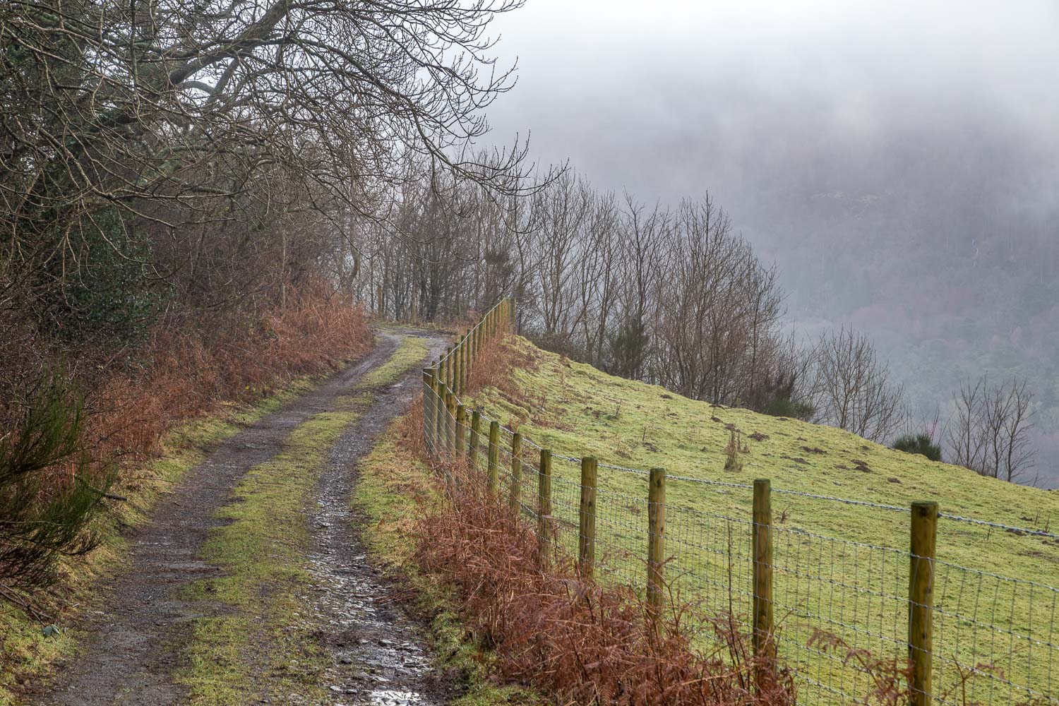 Loweswater walk, old Mosser Road