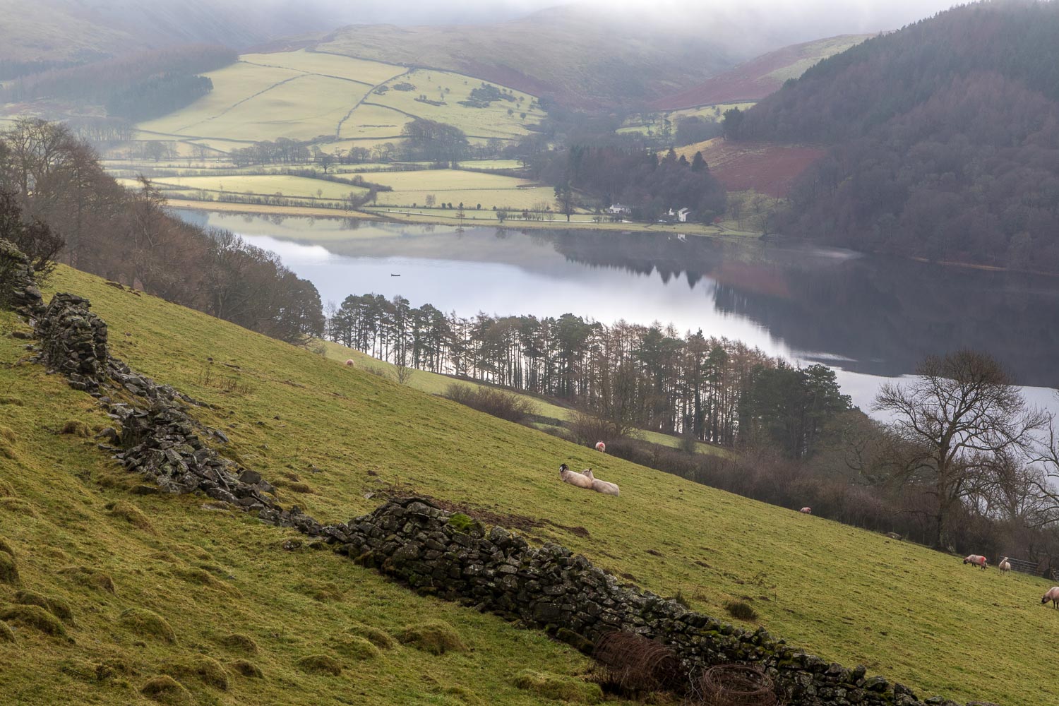 Loweswater walk