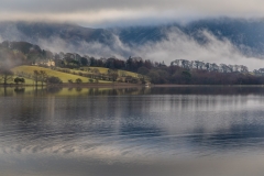 Loweswater walk, Holme Wood