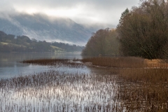 Loweswater walk, Holme Wood