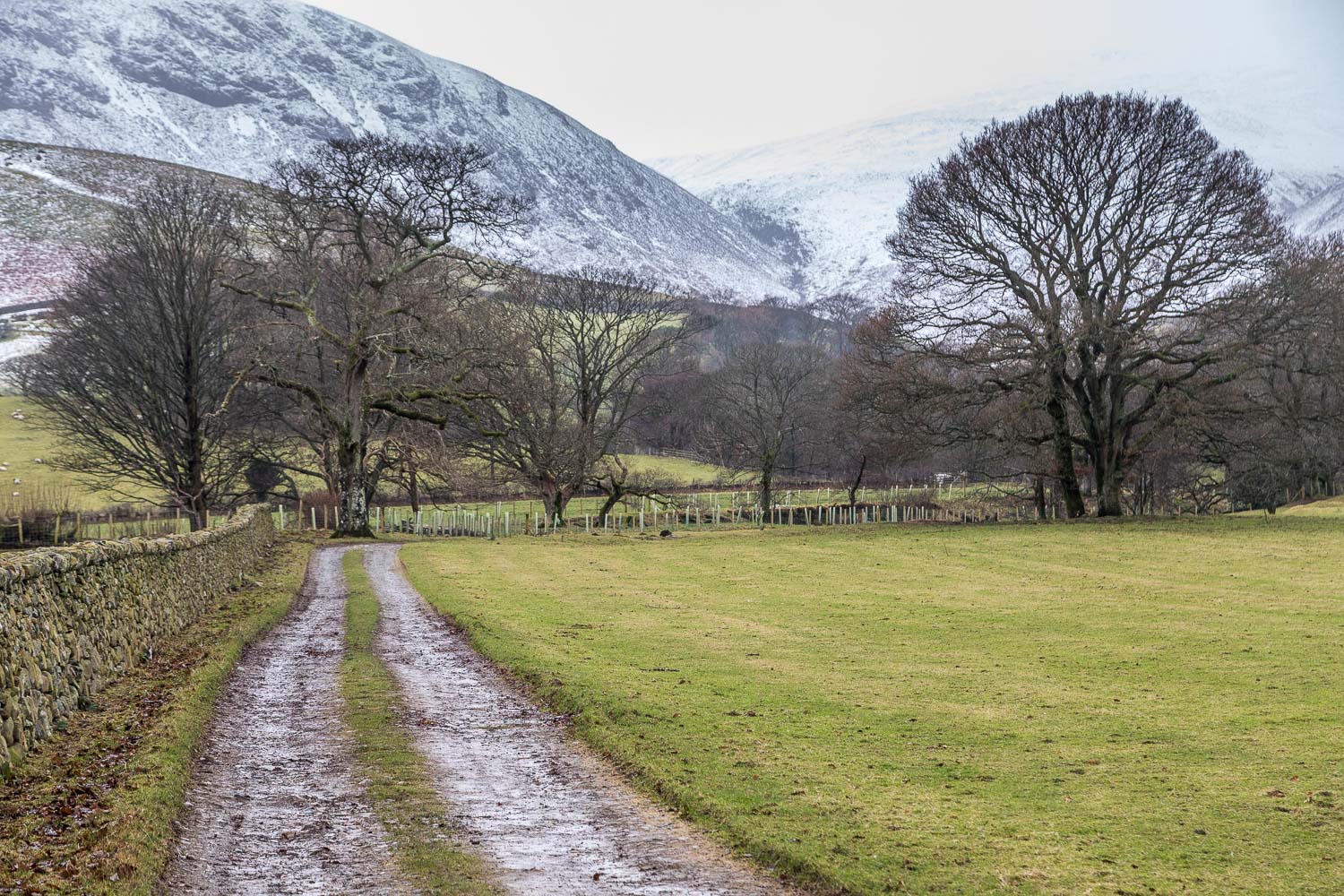 Loweswater walk