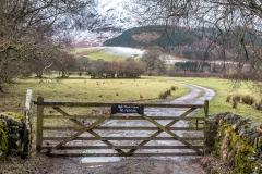 Maggie's Bridge