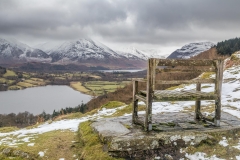 Loweswater bench