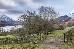 Loweswater walk