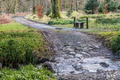 Holme Wood