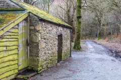 Holme Wood  bothy
