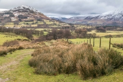 Lorton Vale